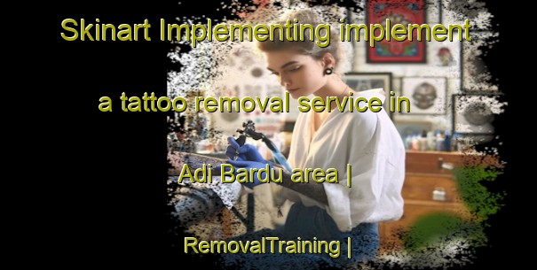 Skinart Implementing implement a tattoo removal service in Adi Bardu area | RemovalTraining | RemovalClasses | SkinartTraining-Eritrea